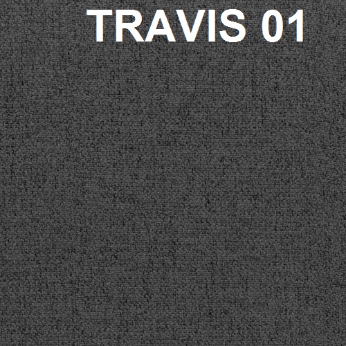 travis-01
