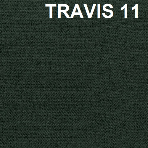travis-11