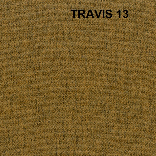 travis-13